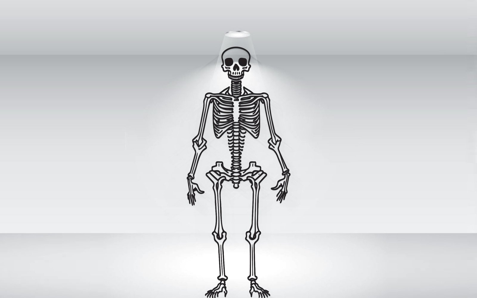 Kit Graphique #373556 Skeleton Noir Divers Modles Web - Logo template Preview