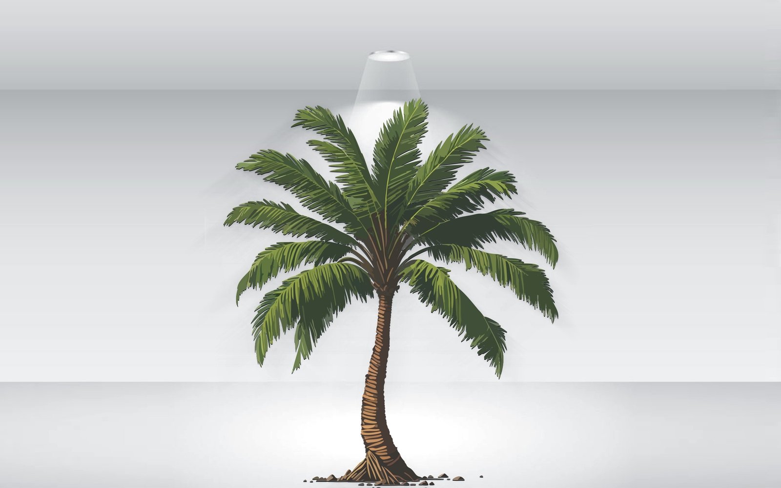 Kit Graphique #373563 Palm Tree Divers Modles Web - Logo template Preview