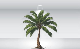 Palm Tree Illustration Vector Format