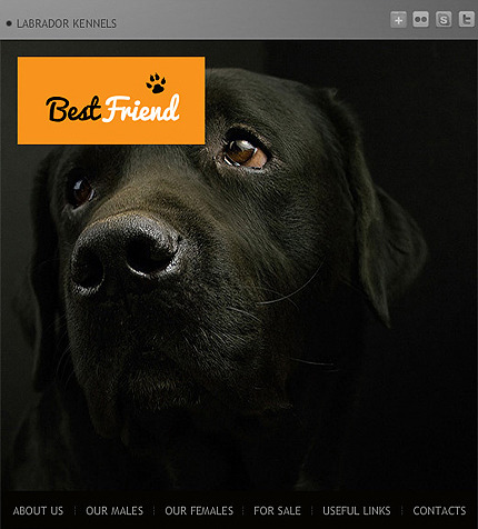 Dog Facebook Flash Theme Big Screenshot Dog Facebook Flash Template Facebook Screenshot