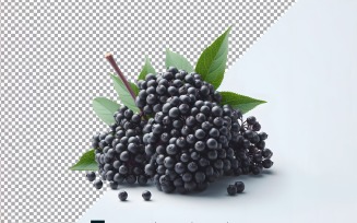 Elderberry Fresh fruit isolated on white background 1.