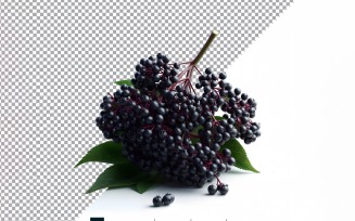 Elderberry Fresh fruit isolated on white background 4
