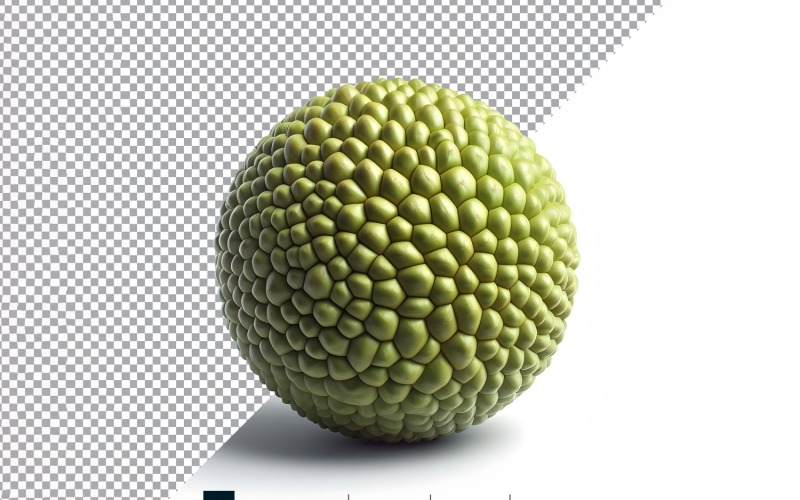 Fresh jackfruit isolated on white background 2 Vector Graphic