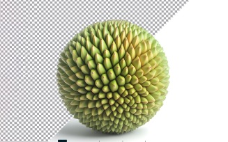 Fresh jackfruit isolated on white background 3