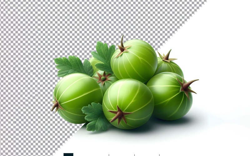 Gooseberry Fresh fruit isolated on white background 3 Vector Graphic