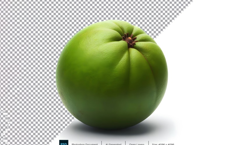 Sapote Fresh fruit isolated on white background 5 Vector Graphic
