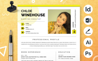 Professional Resume / CV Templates, Creative Design
