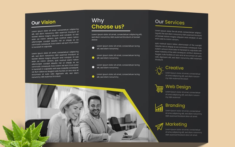 Business Trifold Brochure Design Template Layout Corporate Identity