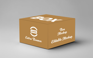 Editable Box Logo Mockup Design