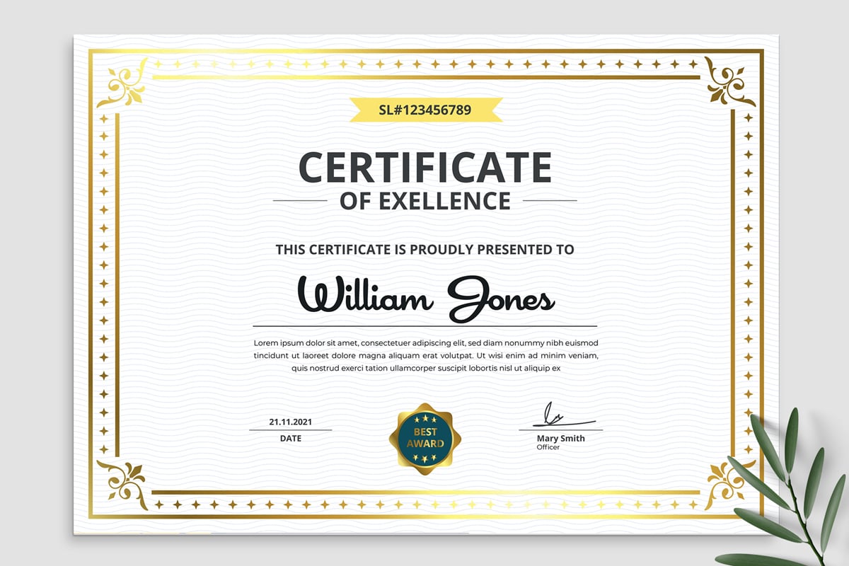Kit Graphique #375829 Certificat Excellence Divers Modles Web - Logo template Preview