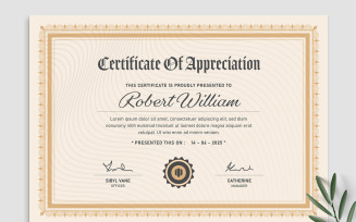 Professional Certificate of Appreciation