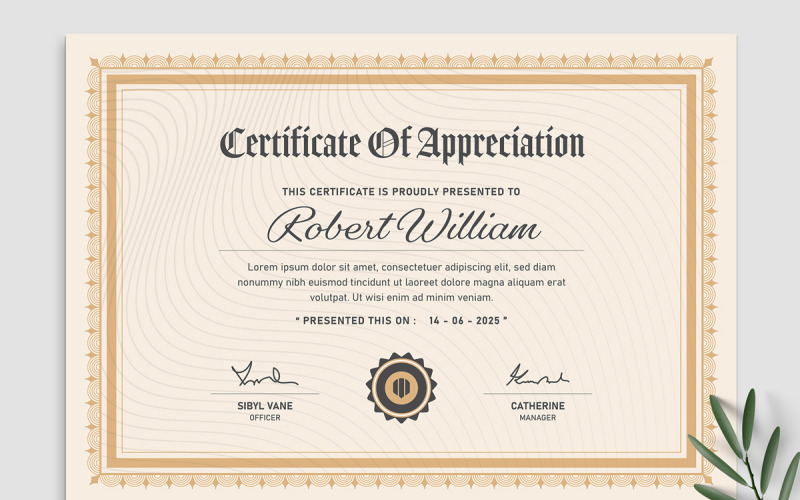 Professional Certificate of Appreciation Corporate Identity