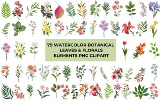 Watercolor Botanical Leaves and Florals Clipart