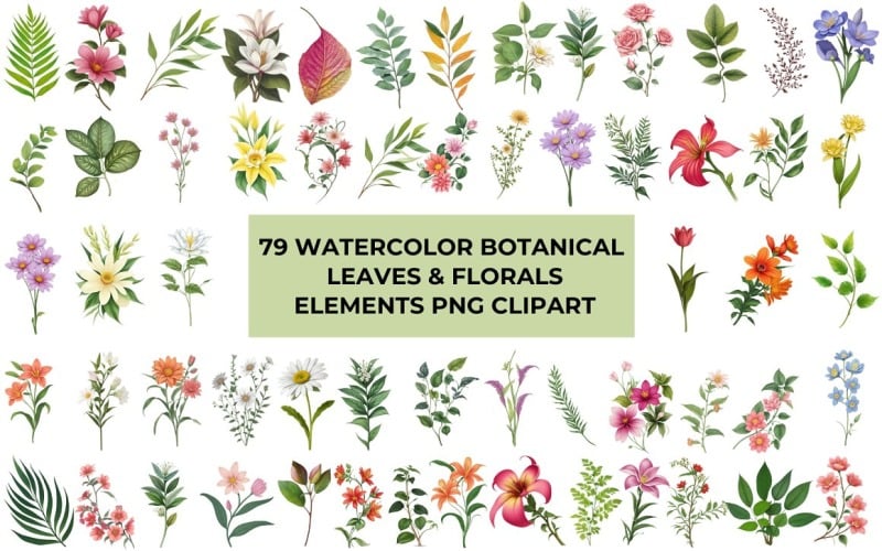 Watercolor Botanical Leaves and Florals Clipart Background