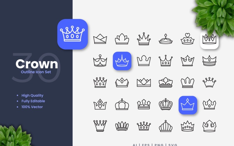 30 Crown Outline Icons Set Icon Set