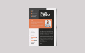 Perfect Example Of CV Resume Template
