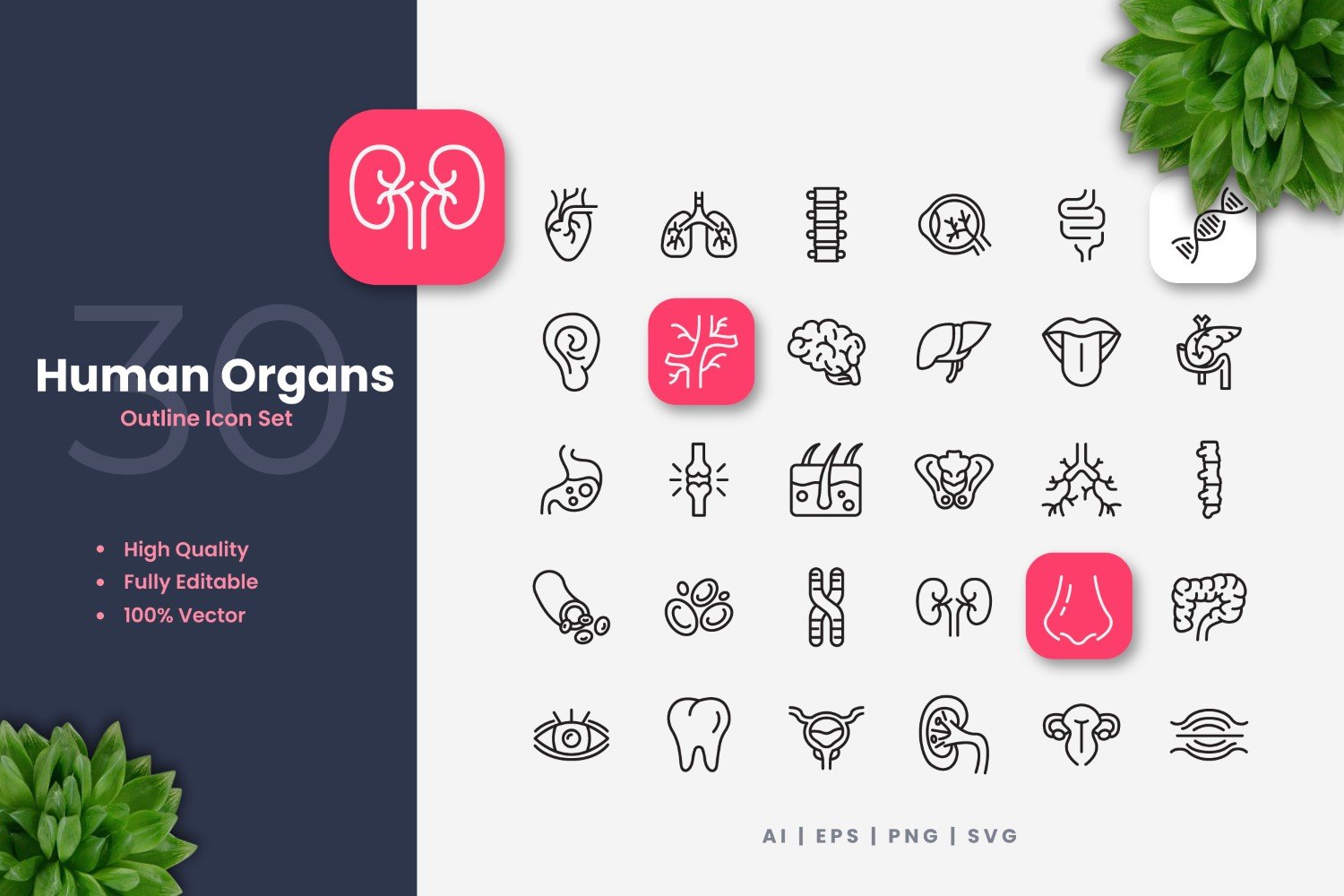 Kit Graphique #376415 Liver Brain Divers Modles Web - Logo template Preview