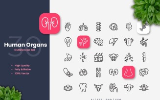 30 Human Organs Outline Icons Set