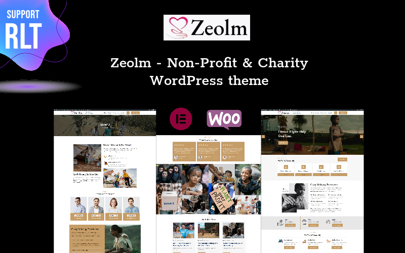 Zeolm - Non-Profit & Charity WordPress theme WordPress Theme