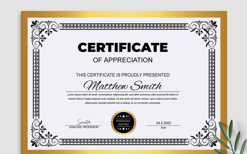 Multipurpose Modern Certificates Corporate Identity