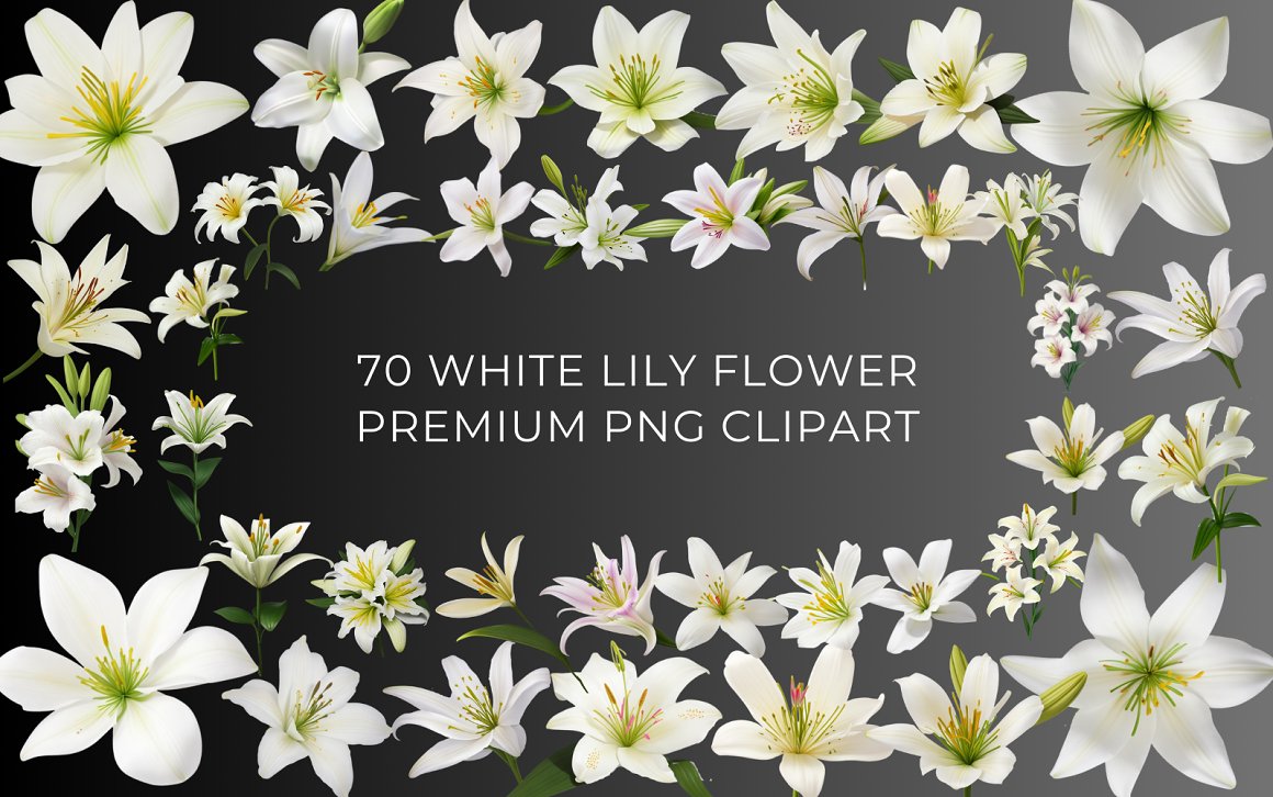 Template #377842 White Lily Webdesign Template - Logo template Preview