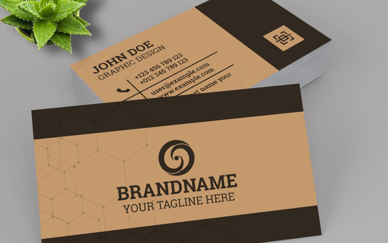 Creative Colorful Business Card Corporate Identity