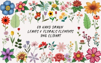 Hand Drawn Leaves & Floral Clipart