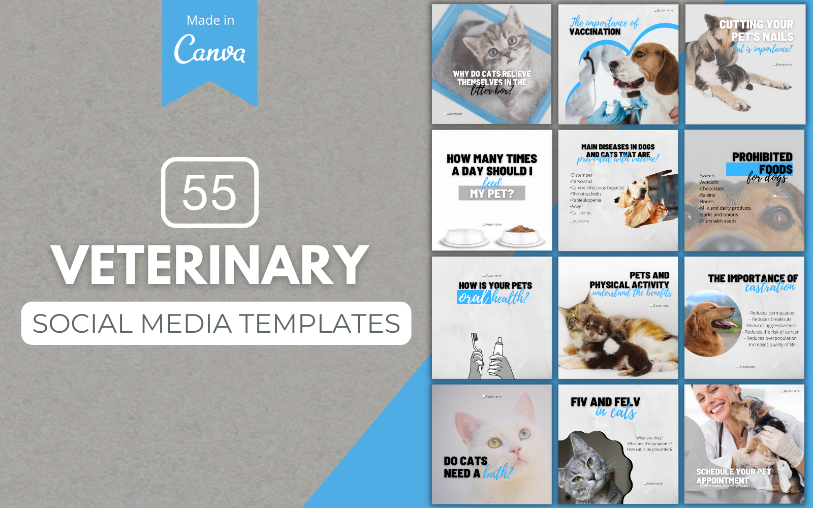 55 Veterinary Canva Templates For Social Media