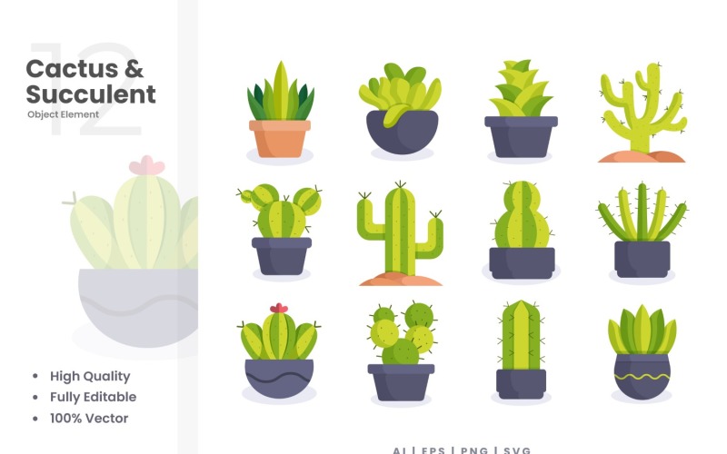 12 Cactus and Succulent Vector Element Set Illustration