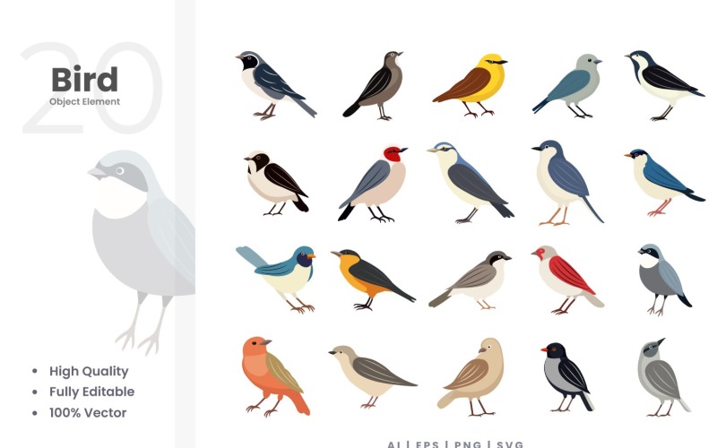 20 Bird Vector Element Set Illustration