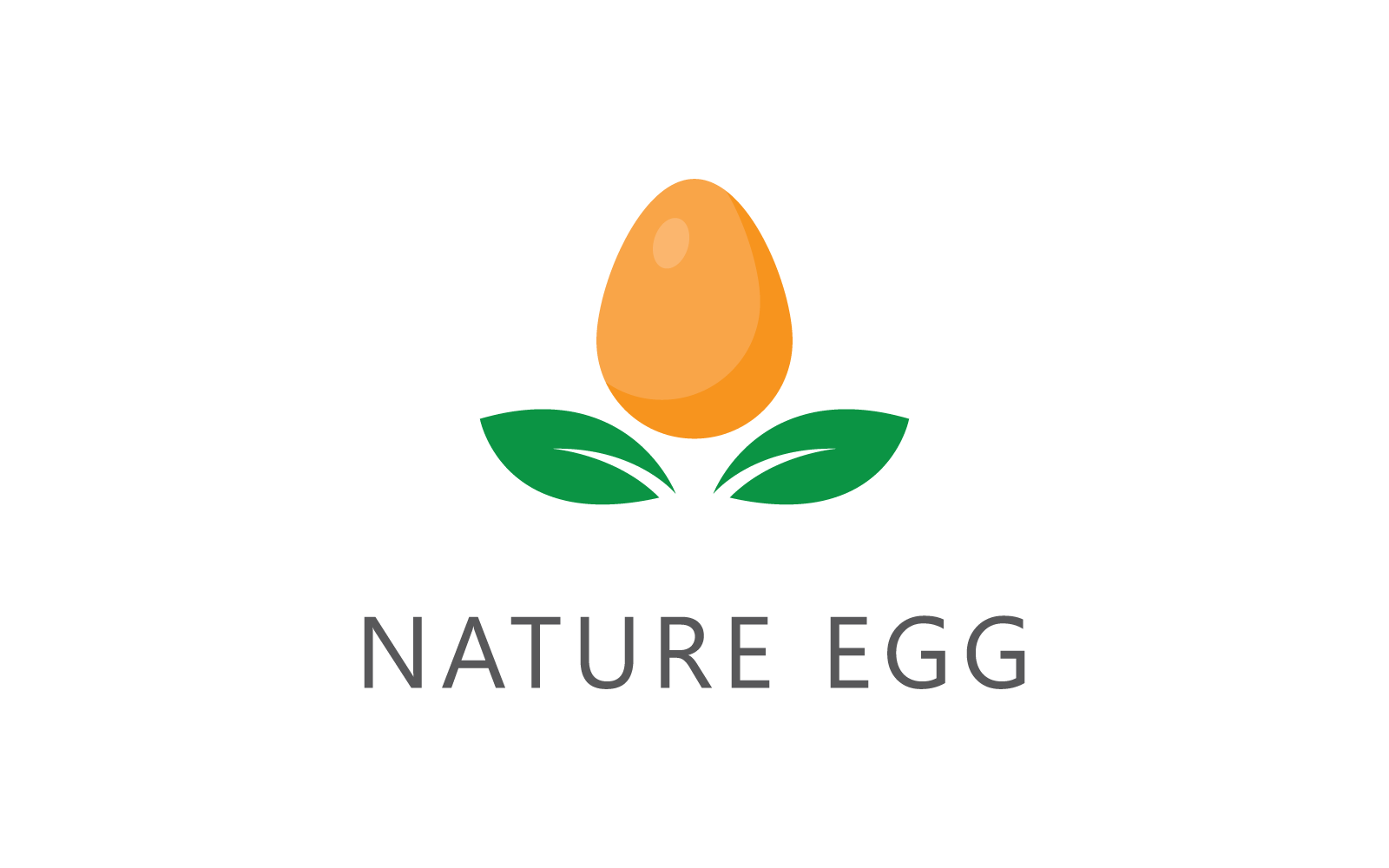 Egg and green leaf illustration logo vector flat design
