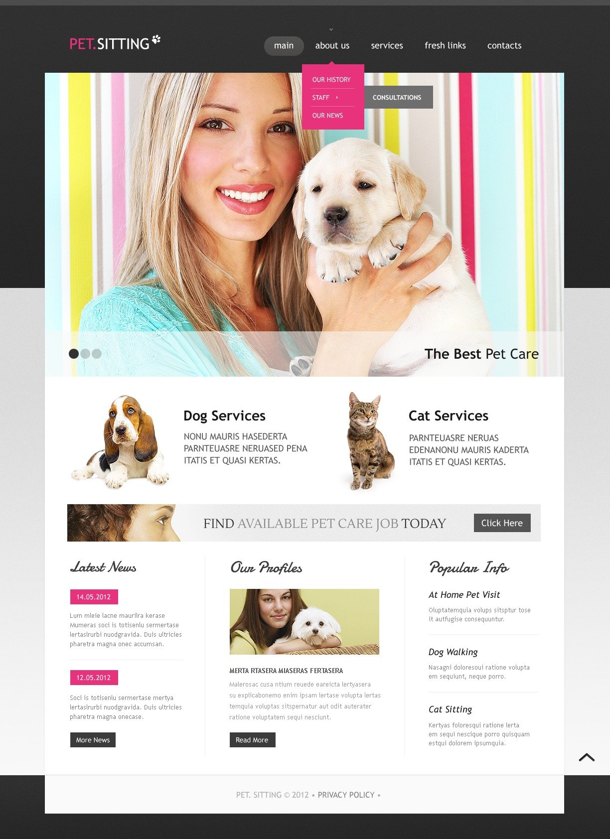 Pet Sitting Website Template 38098