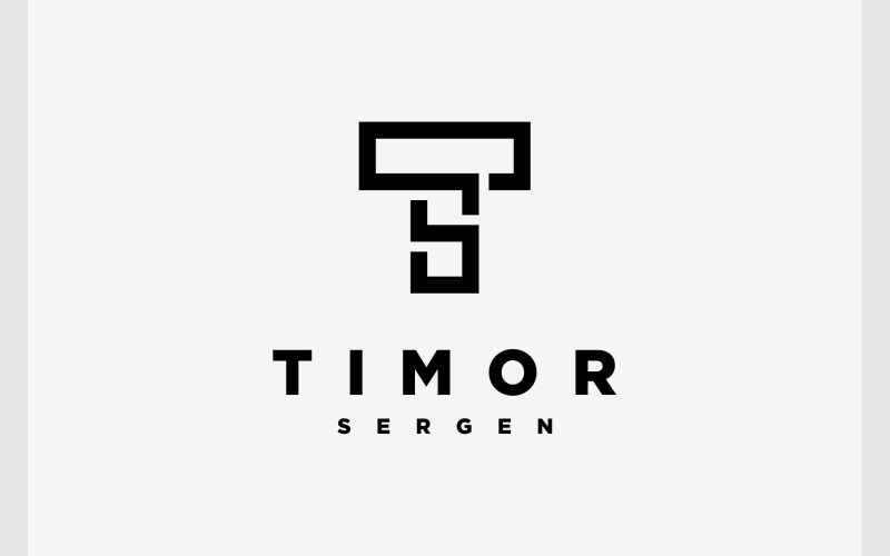 Letter TS ST Simple Monogram Logo Logo Template