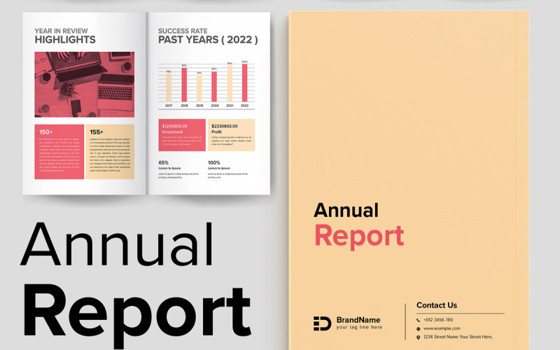 Annual Report Layout Templates Corporate Identity