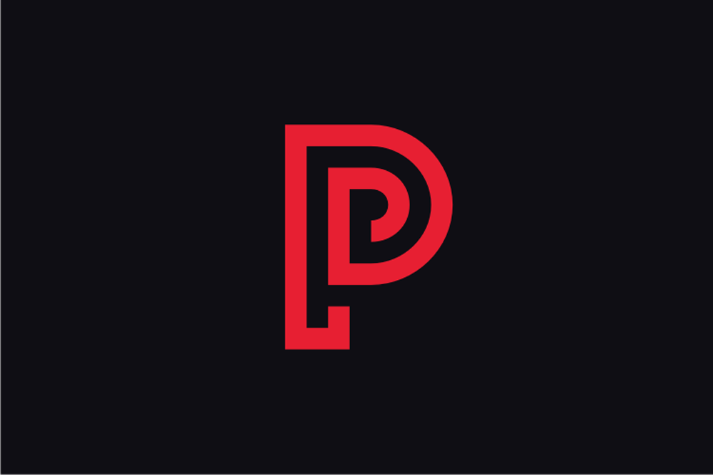 Pro Data  Letter P  PP  PD  logo design template