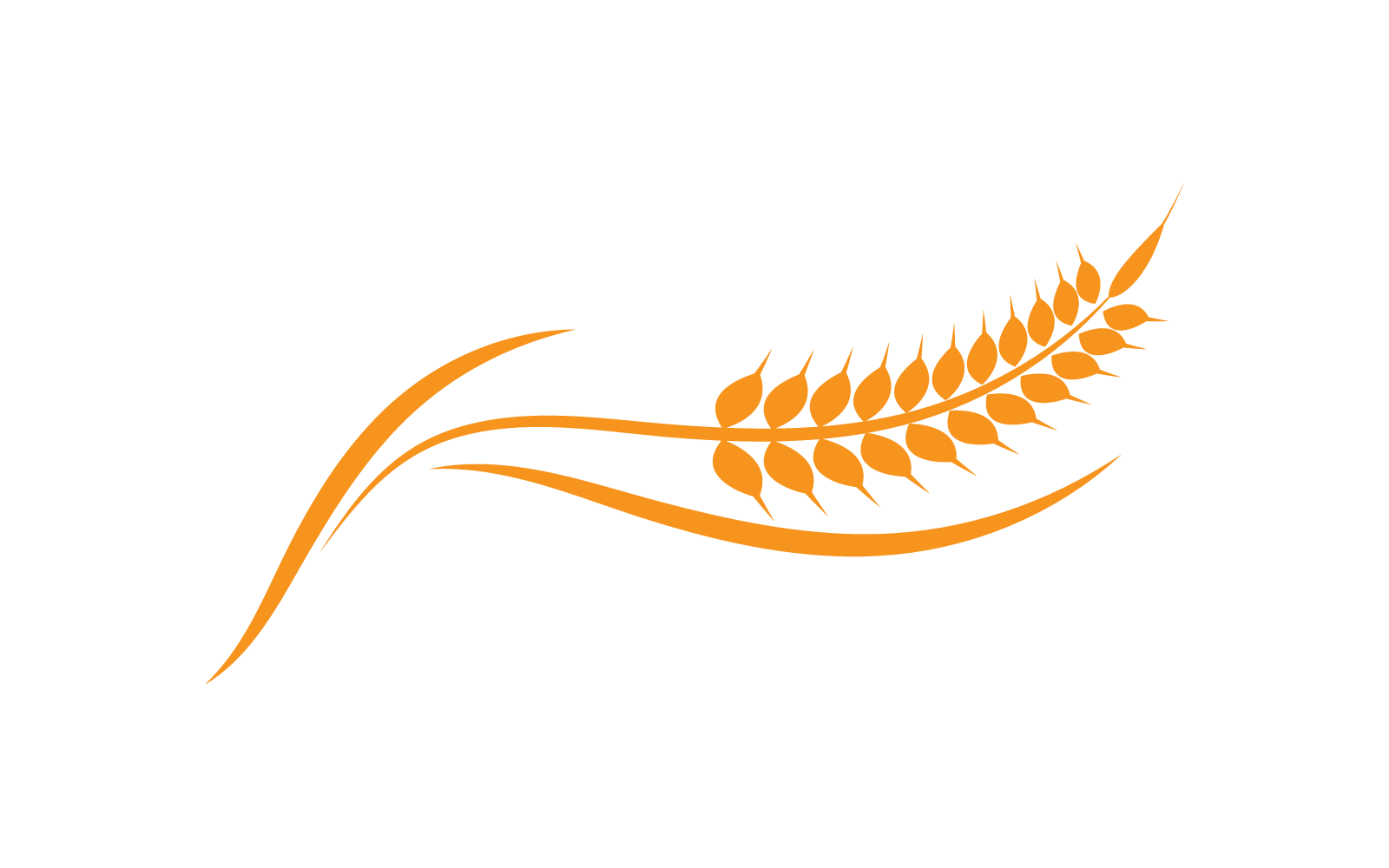 Tarwe Logo sjabloonontwerp vector illustratie