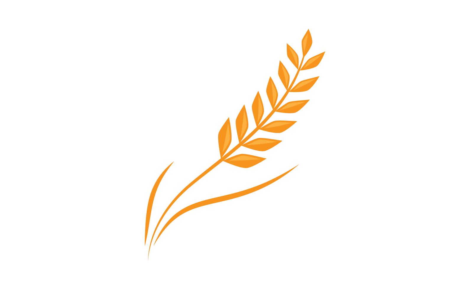 Wheat Logo illustration template Logo Template