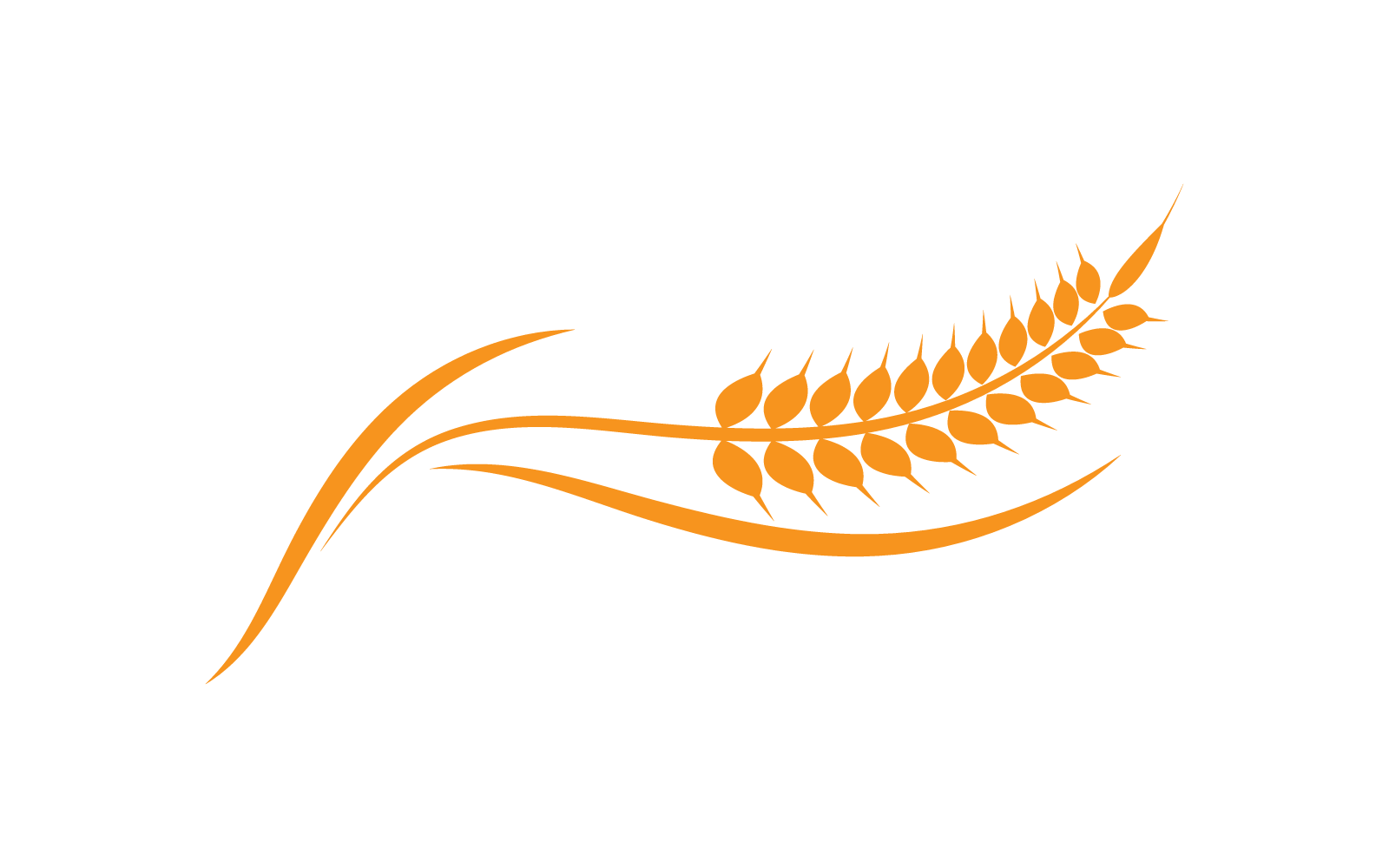 Wheat Logo template vector illustration design Logo Template