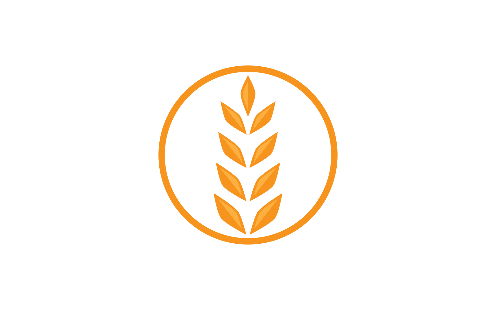 Wheat Logo template vector illustration