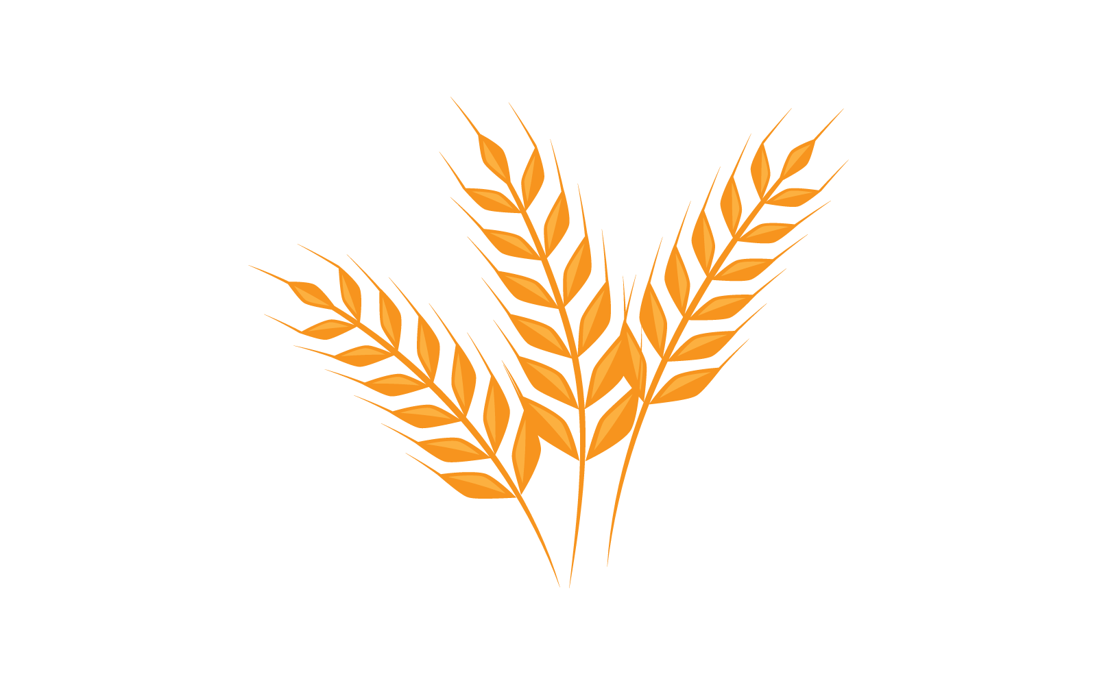 Design plano de vetor de modelo de logotipo de trigo