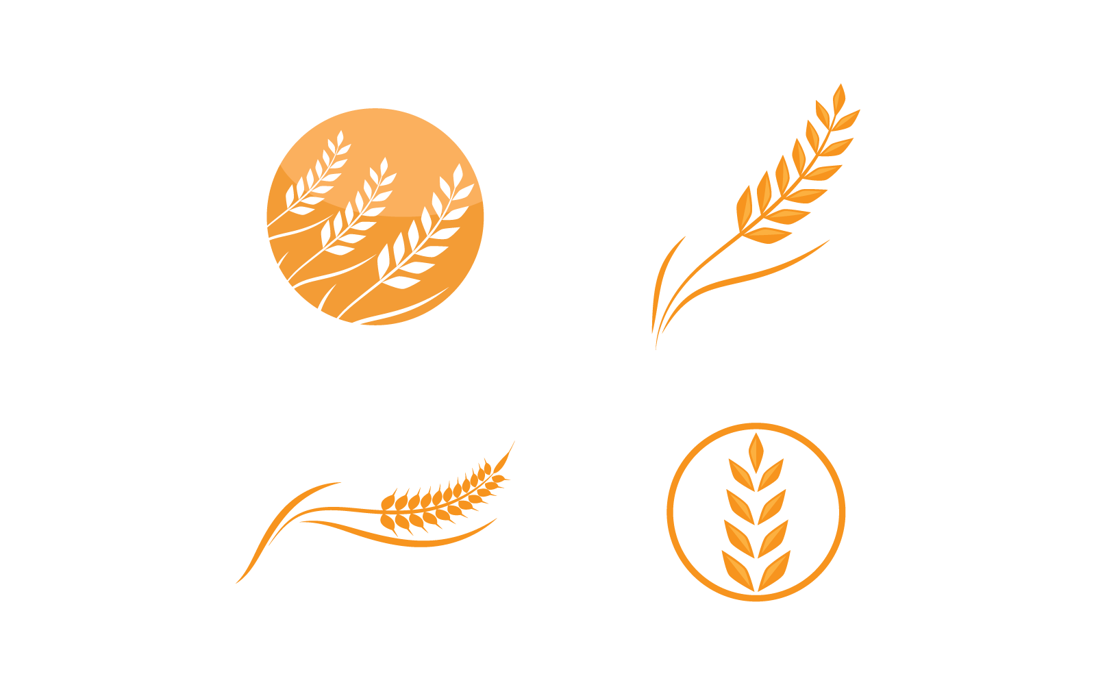 Icono de vector de plantilla de logotipo de trigo