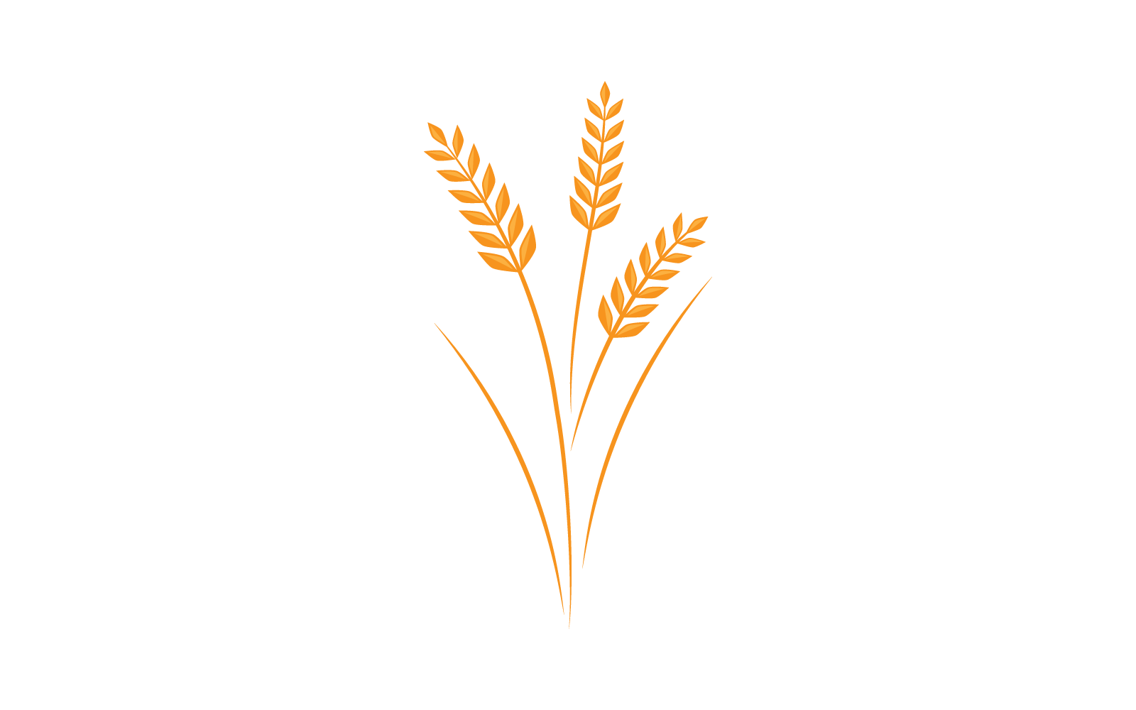 Plantilla de ilustración vectorial de plantilla de logotipo de trigo