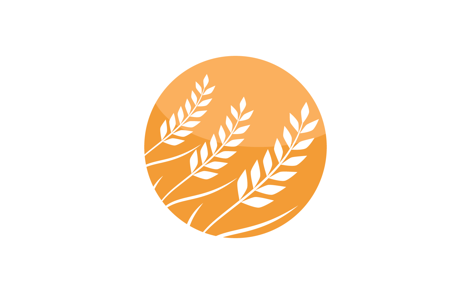 Wheat Logo template design Logo Template