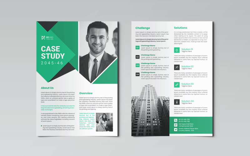 Marketing Case Study Flyer Design Template Corporate Identity