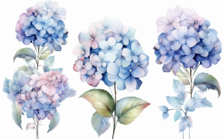 Watercolor Flowers Bouquets, illustration background 28