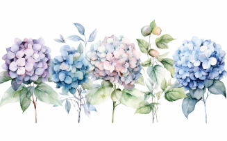 Watercolor Flowers Bouquets, illustration background 31