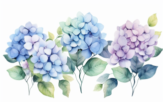 Watercolor Flowers Bouquets, illustration background 34