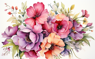 Watercolor Flowers Bouquets, illustration background 45