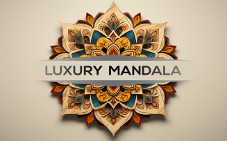 Luxury mandala | Premium mandala design | colorful flower mandala art