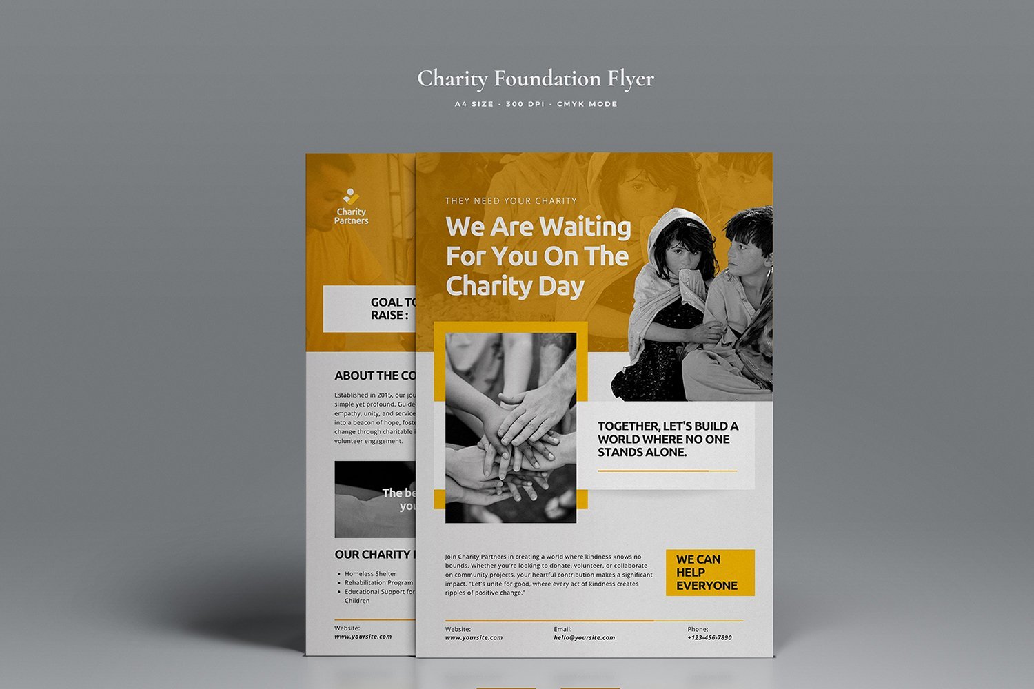 Template #384295 Fundraising Flyer Webdesign Template - Logo template Preview